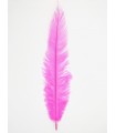 1st Quality Floos Feather (30-35cm) - 6 uts - Fuchsia Color