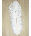 Ostrich Feather 1st Quality (44cm a 50cm) 6uds.