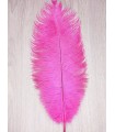 Ostrich Feather 1st Quality (38-40 cm) 6uds.
