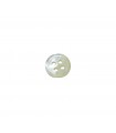 Genuine Nacar Button with four buttonholes - 4 Measures - Bag of 100 units