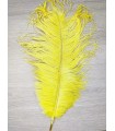 Ostrich Feather 2nd Quality (+50 cm) - 26 units