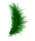 Marabou feather
