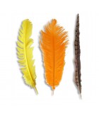 Natural feather